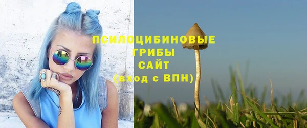 первитин Богородск