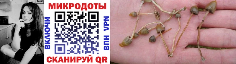 Псилоцибиновые грибы GOLDEN TEACHER  мега как войти  Тобольск 